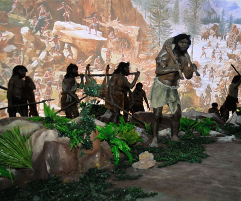 PANORAMA ON HUMAN EVOLUTION